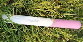 A blank pregnancy test on top of green grass.